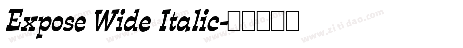 Expose Wide Italic字体转换